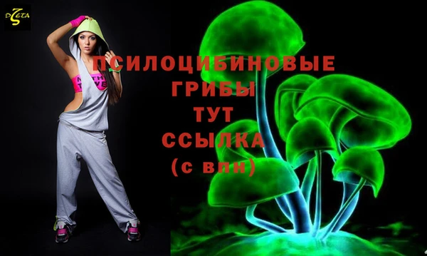 трава Медвежьегорск