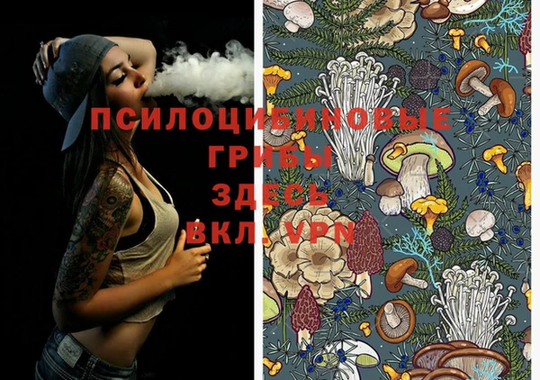 трава Медвежьегорск