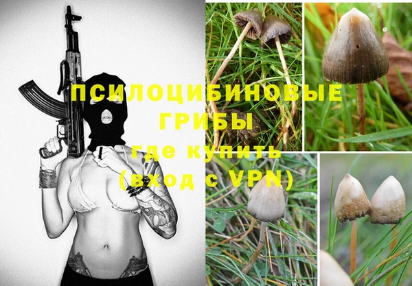 трава Медвежьегорск