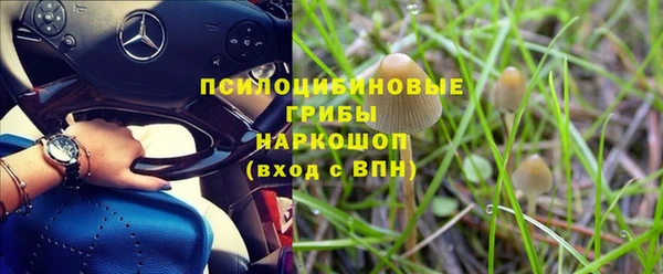 гидра Медногорск