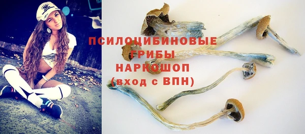 метадон Майский