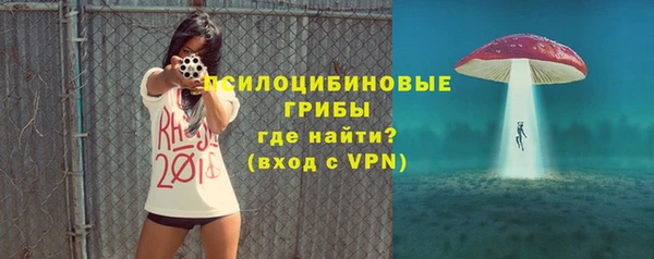 трава Медвежьегорск