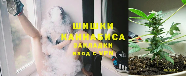 трава Медвежьегорск