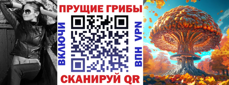 Галлюциногенные грибы ЛСД  Нарткала 