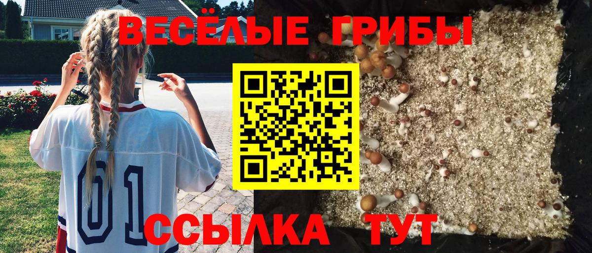 где купить   Вход с VPN  Нарткала  Галлюциногенные грибы Magic Shrooms  Галлюциногенные грибы мицелий 