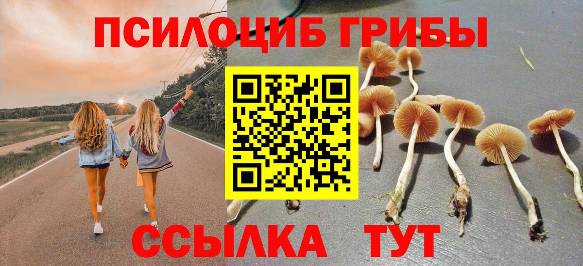 Галлюциногенные грибы Psilocybe  Нарткала 