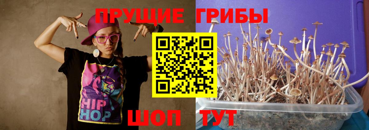 Псилоцибиновые грибы ЛСД Нарткала